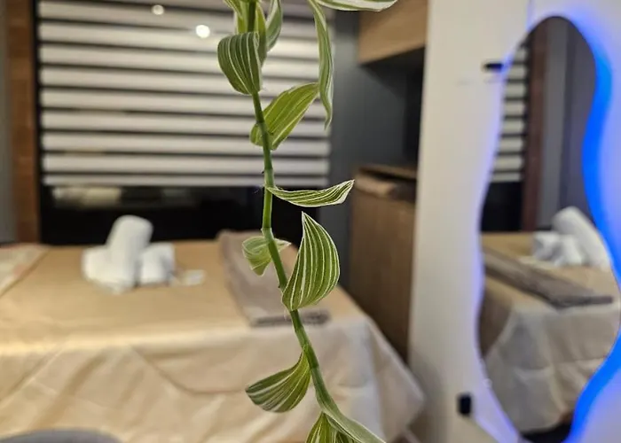 Aparthotel Askha 4*